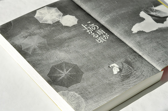 K_rain_hon02_T